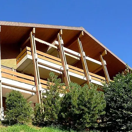 Lägenhet Sleeps 8 Wifi Wengen